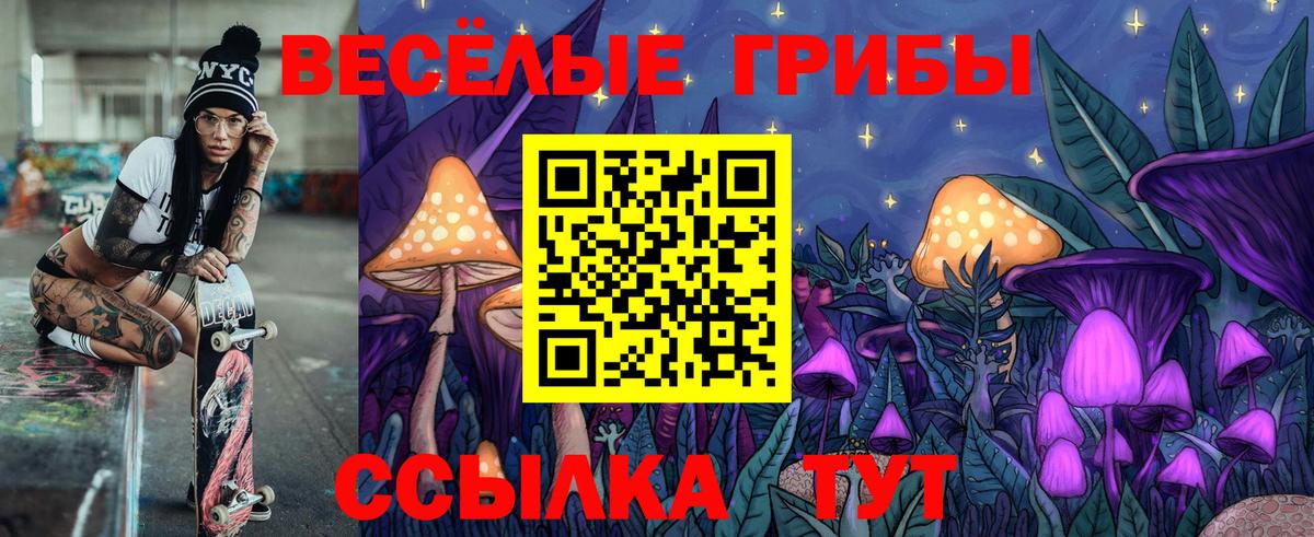Псилоцибиновые грибы мухоморы Вязники