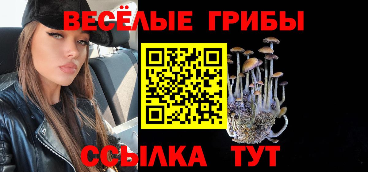 купить   Псилоцибиновые грибы прущие грибы  Вход с VPN  Вязники 